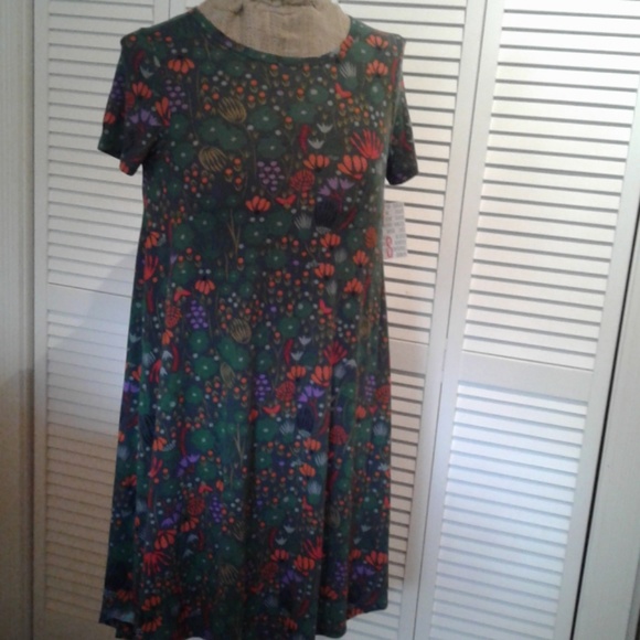 LuLaRoe Dresses & Skirts - NWT small Lularoe Carly